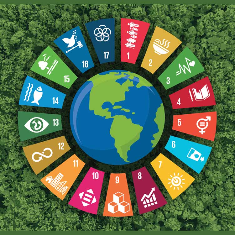 Sustainability infographic